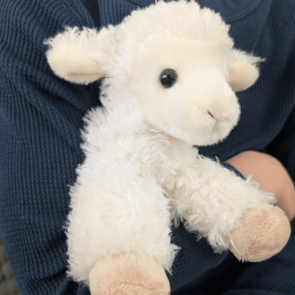Limited-Edition God Cares for Me Lamb
