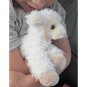 God Always Takes Great Care of You | Special Lamb