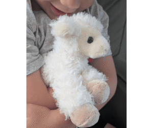 God Always Takes Great Care of You | Special Lamb