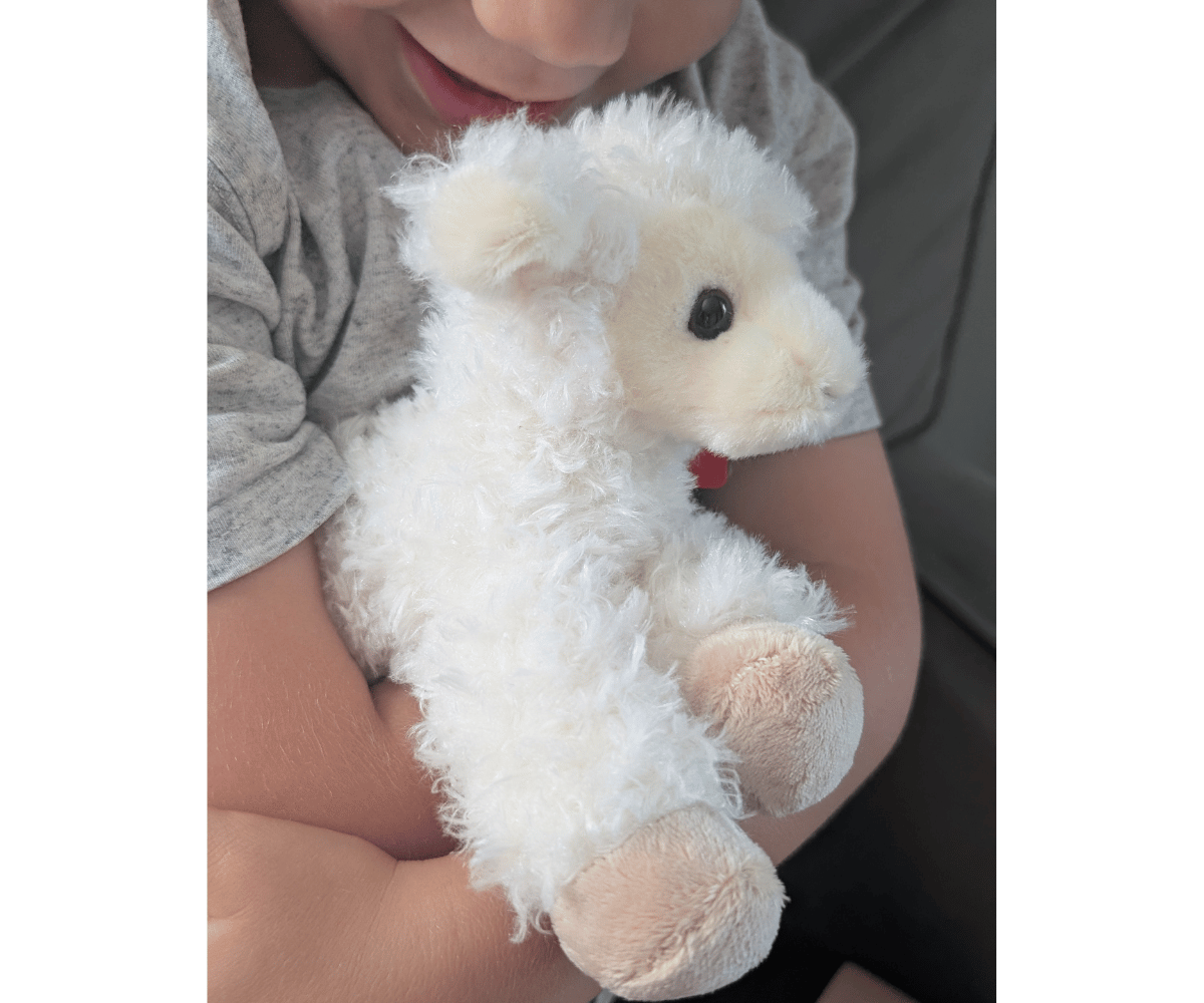 God Always Takes Great Care of You | Special Lamb