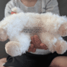 God Always Takes Great Care of You | Special Lamb